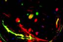 Die Förderinitiative Neurowissenschaften