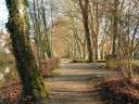 Ein Blick auf eine Park-Allee in Tübingen © flickr / ute.mueller